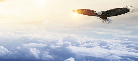 南宫NG28(中国集团)有限公司官网